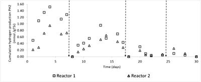 Hydrogen from Dark Fermentation of the Organic Fraction of Waste Diapers: Optimization Based on Response Surface Experiments